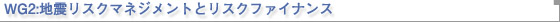 WG2:地震リスクマネジメントとリスクファイナンス